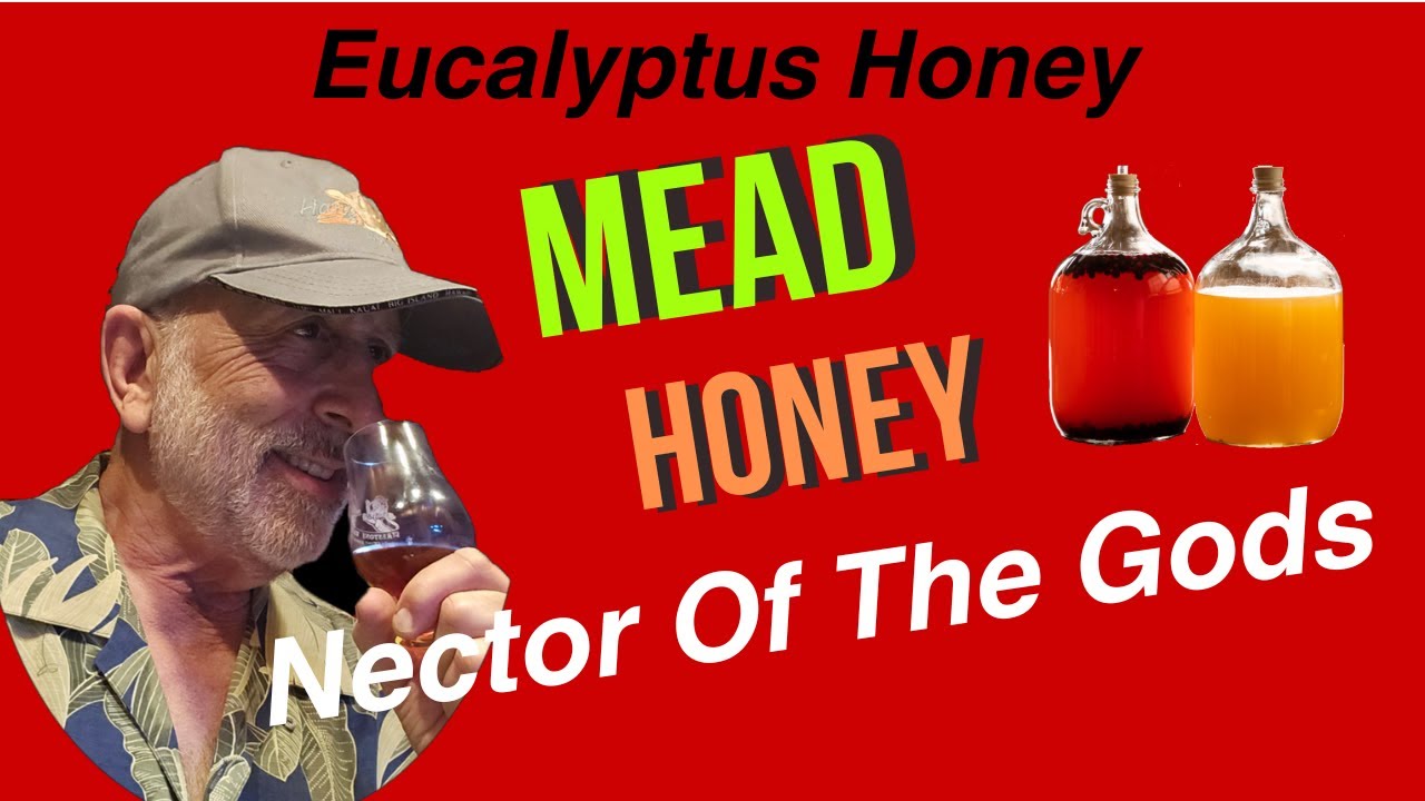 Eucalyptus Honey