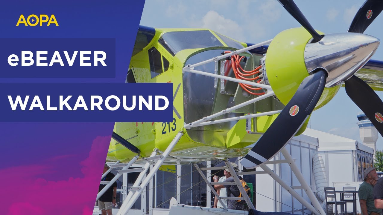 Check out this electric Beaver conversion