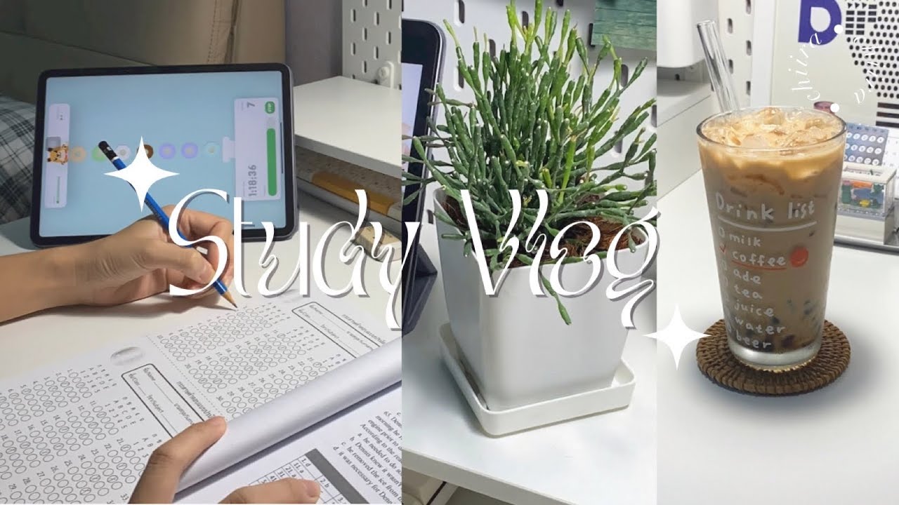 Vlog 16 |Study vlog|  ติวกฎหมาย อังกฤษ  📓ฝึกทำข้อสอบ ลองทำปกคลิปใน canva , unboxing, ซื้อต้นไม้🪴