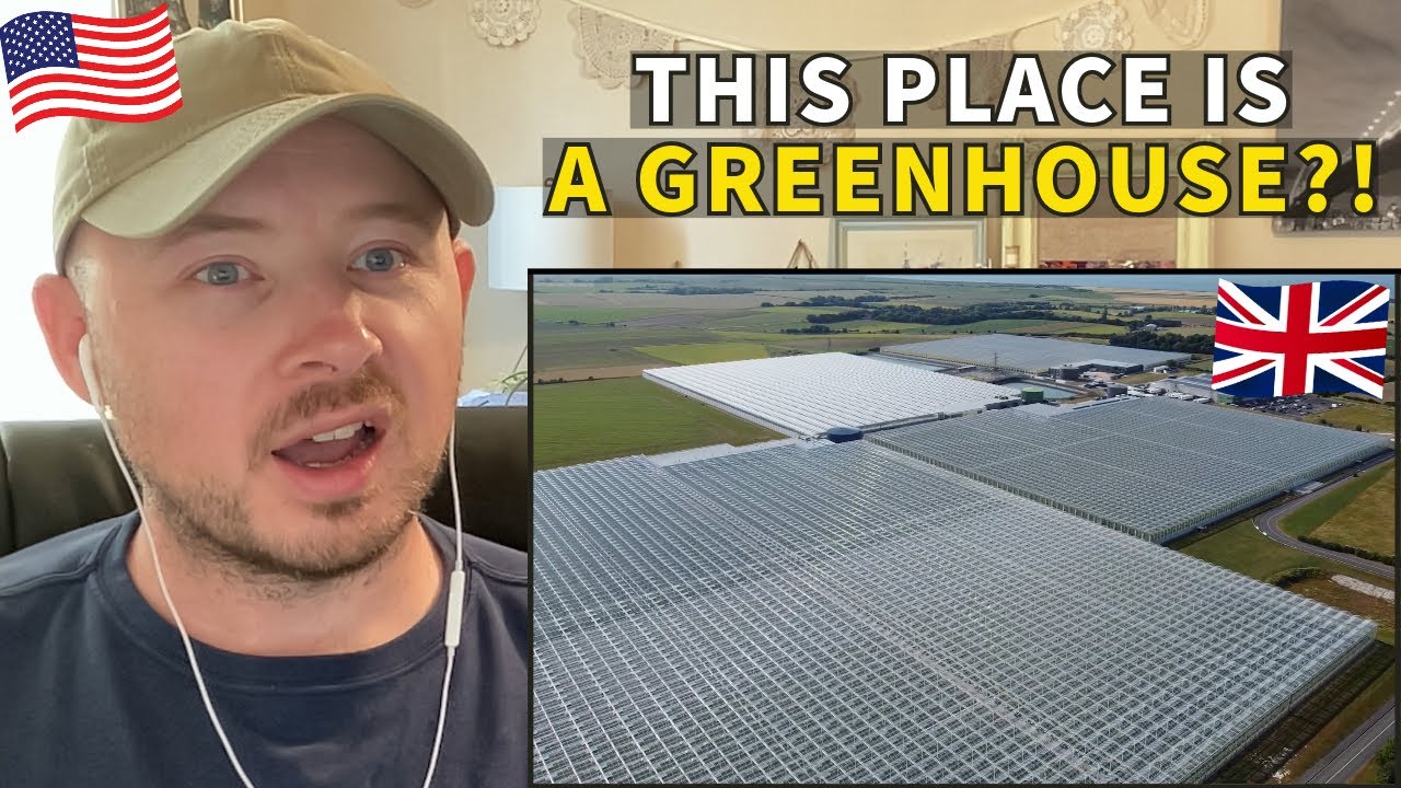 American Reacts to Thanet Earth - The UK's Largest Greenhouse Complex
