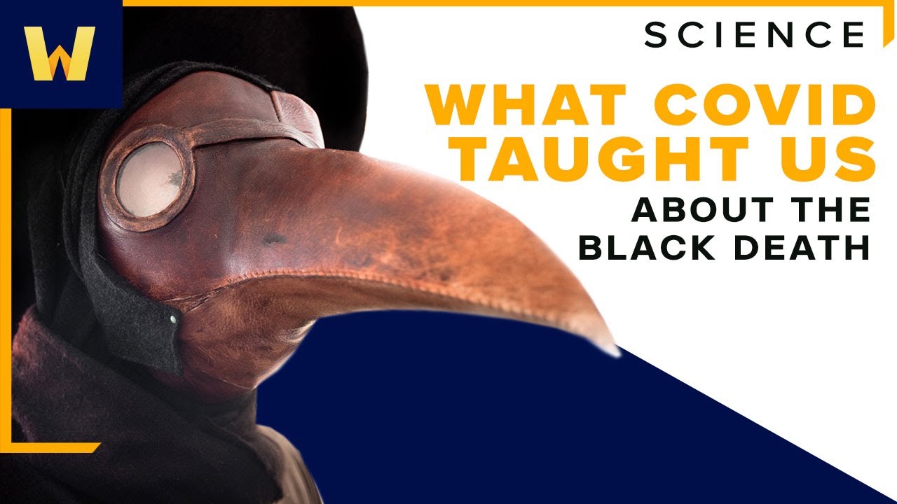 What COVID Taught us about the Black Death | Science of Health
