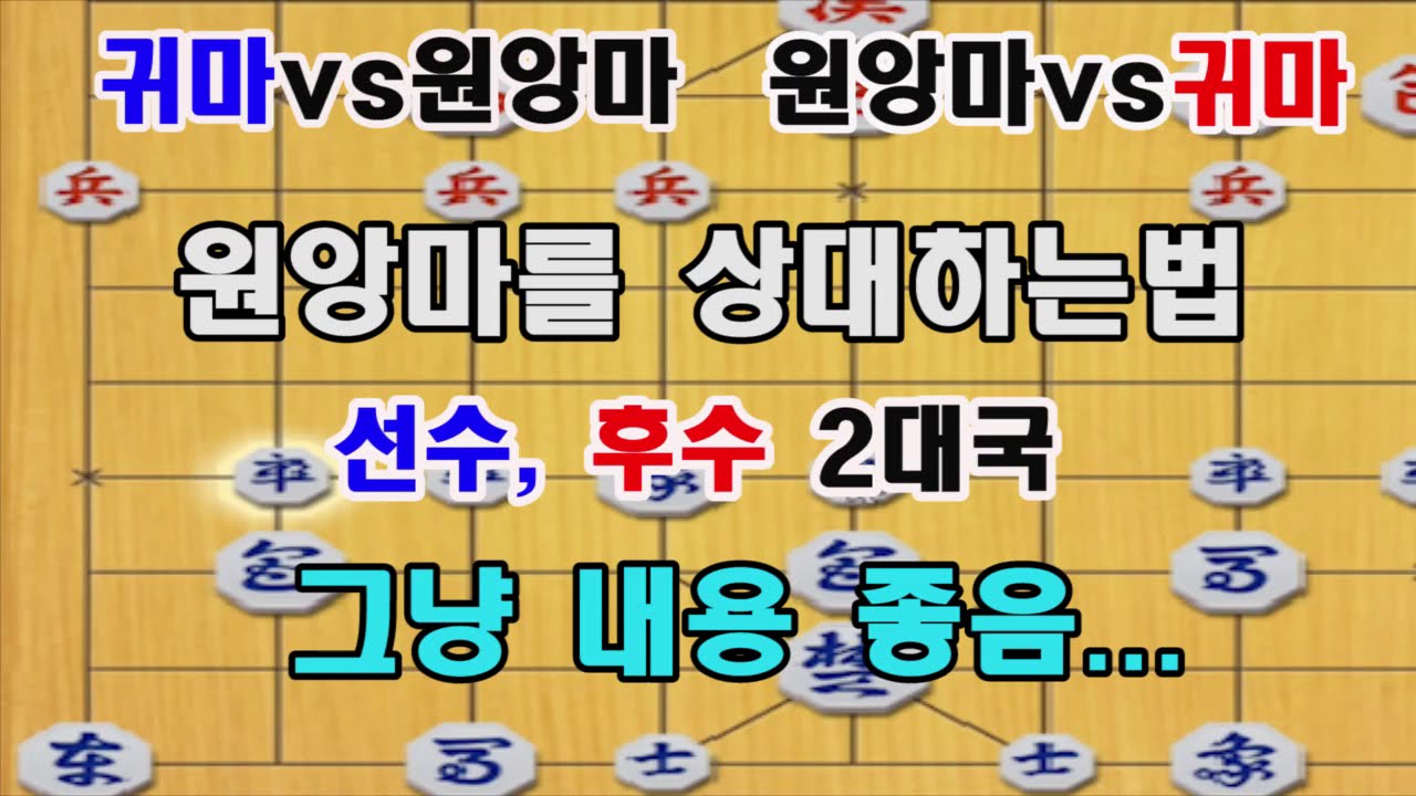 [원앙마를 상대하는법] 그냥 내용 상타치! (선수 후수 장기 2대국)