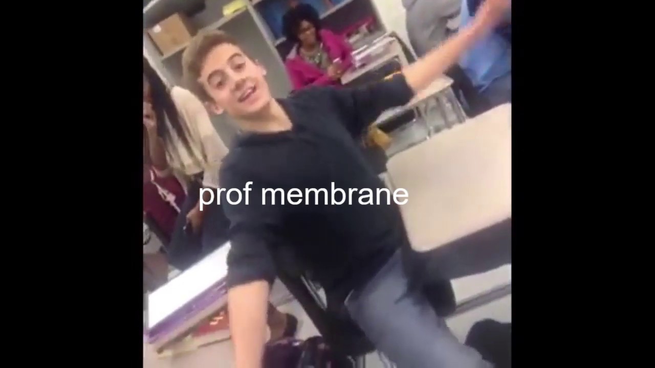 Invader Zim as Vines (and Other Things)