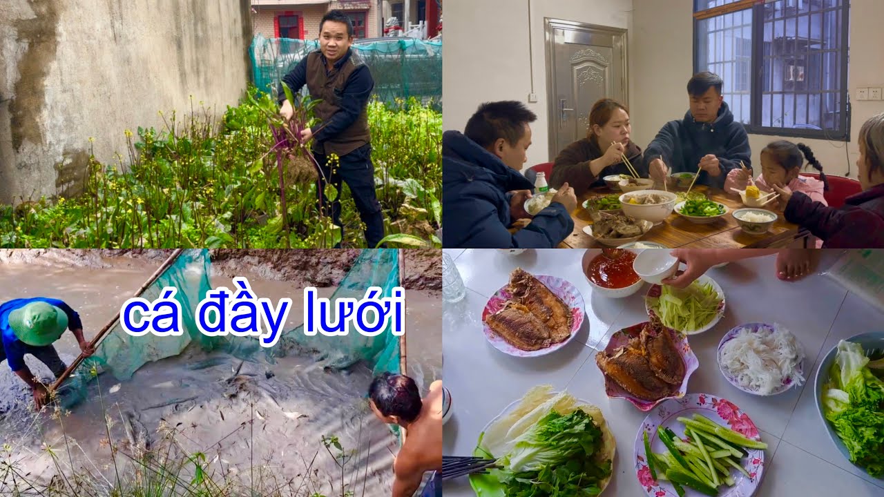 [1138]Dọn Đất Để Trồng Lại Vụ Rau Mới_Cha Ở Bên Việt Nam Hôm Nay Tát Mương Bắt Cá.
