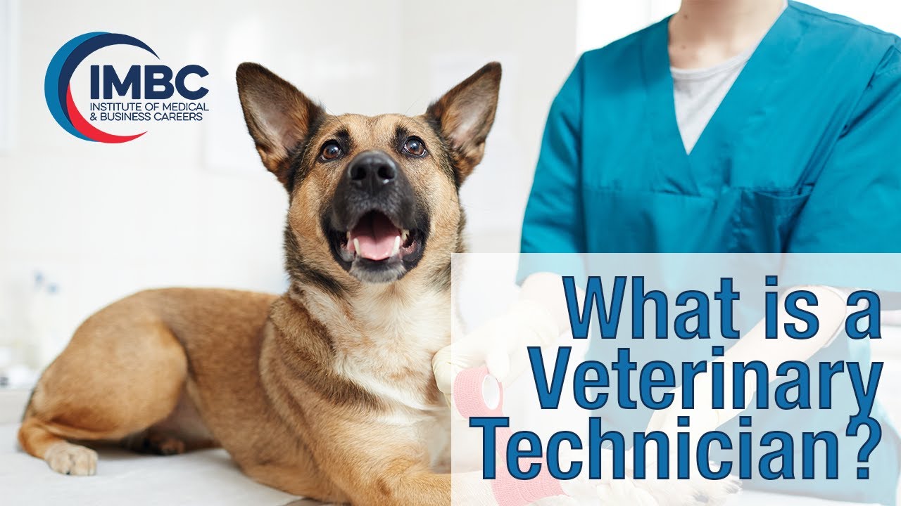 What is a Veterinary Technician?