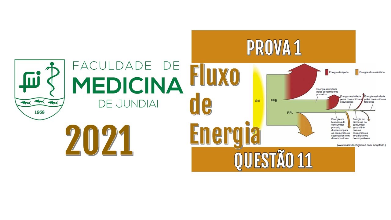 (FMJ-2021)O esquema ilustra o fluxo de energia que ocorre em uma cadeia alimentar...