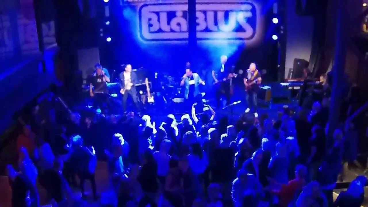 OFFICIAL VIDEO - BACK TO THE SIXTIES MED CINDERELLA