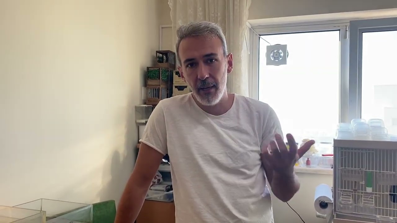 Üretimhanedeki Değişiklikler (Bölüm 1)