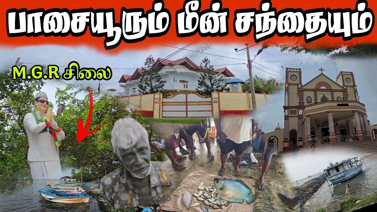 பாசையூரும் மீன் சந்தையும் பாக்கலாம் வாங்க paasayur Let's go and see the fish market too.