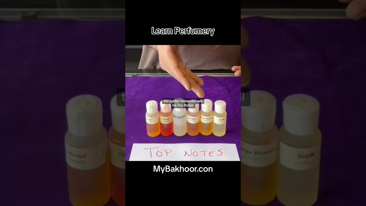 Learn Perfume Notes