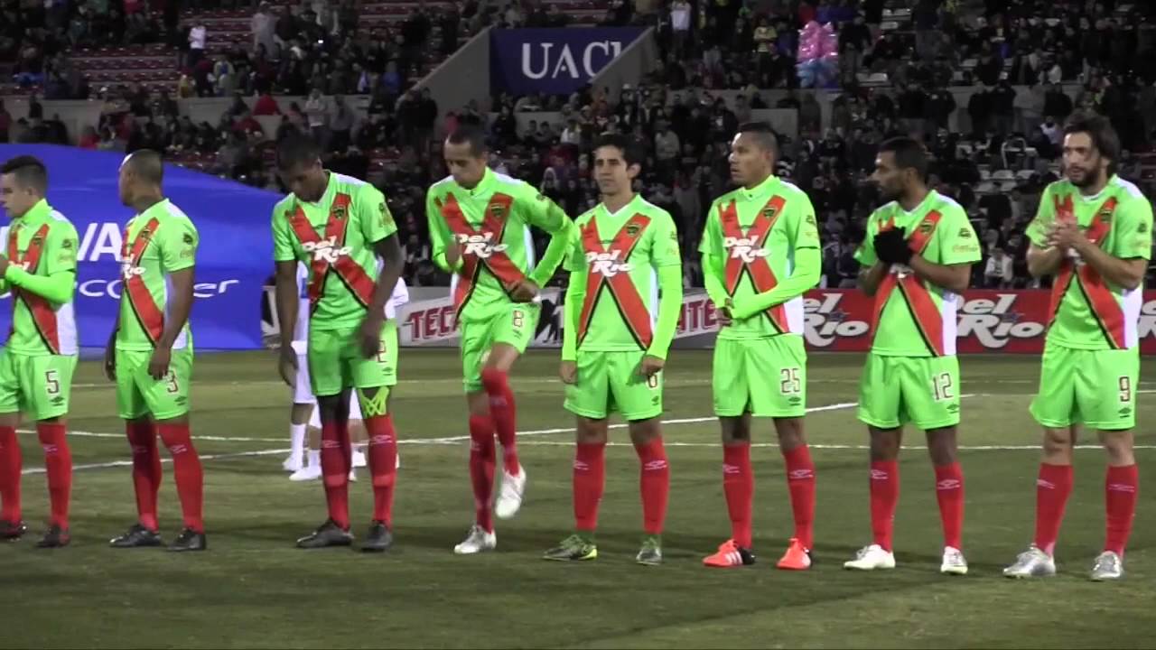 Bravos Resumen 2015