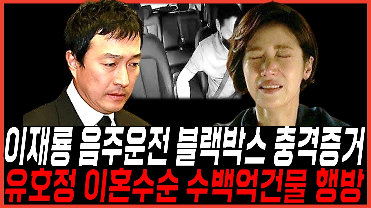 이재룡 음부 뺑소니 운전 블랙박스 행방 논란! 유호정 결국 이혼수순? 400억건물 행방 복잡한이유