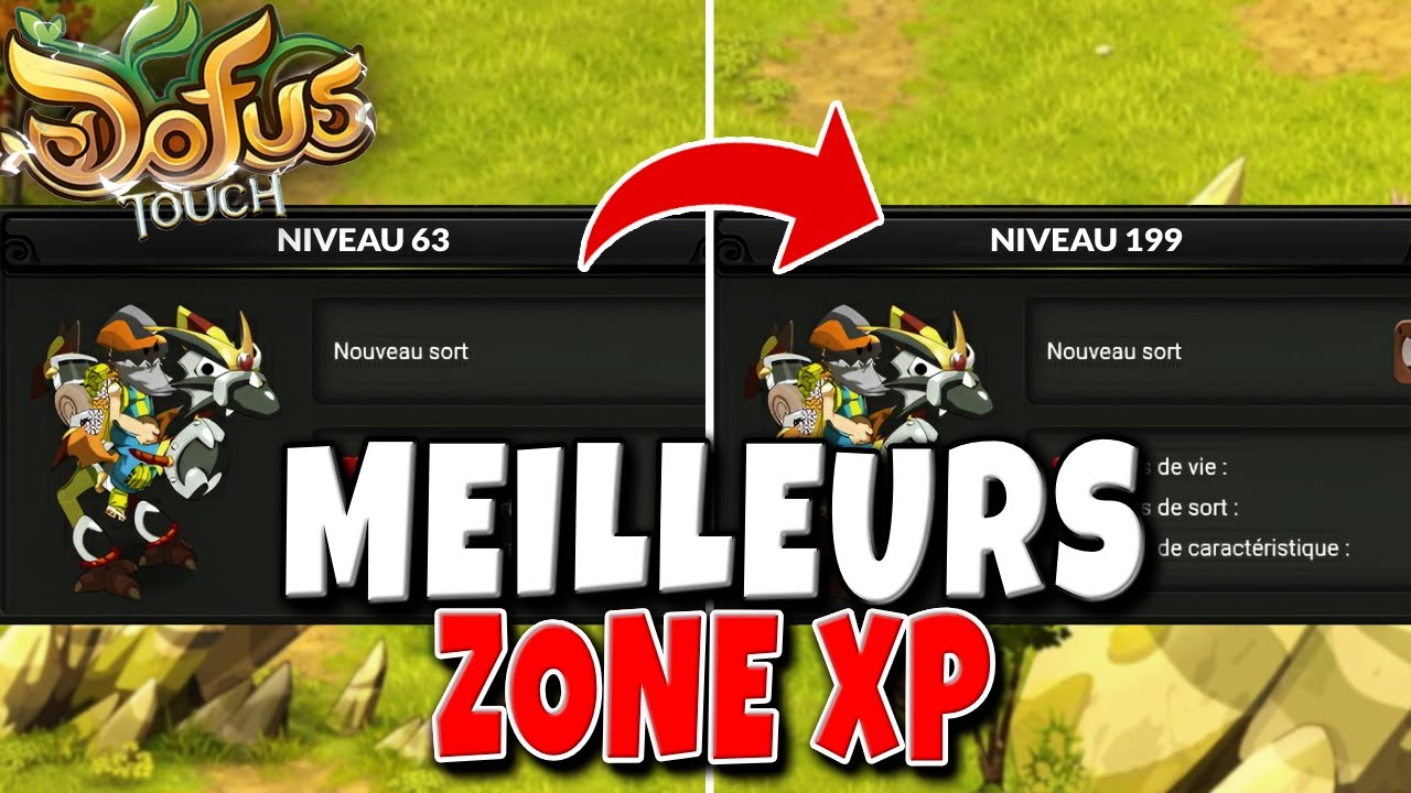les Meilleures Zone XP Facile pour Tous Dofus Touch (Xp Tout Niveaux)