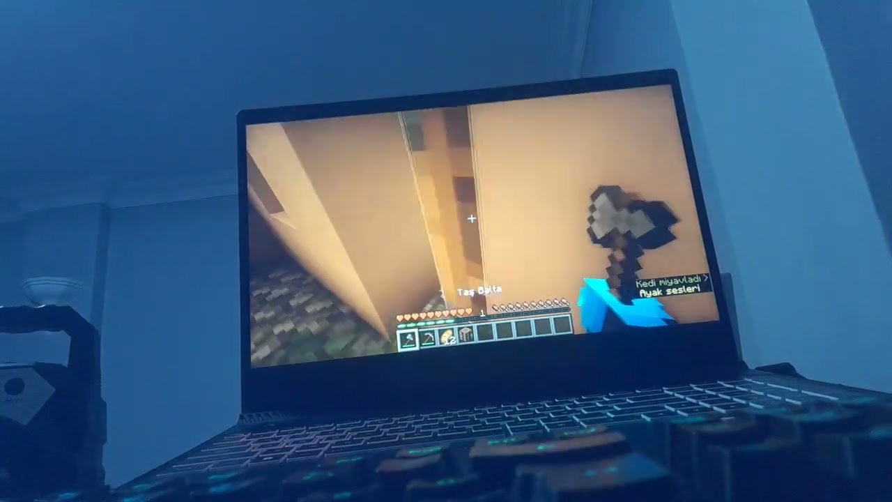 Minecraft Seri 1