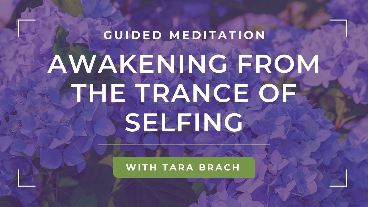 Guided Meditation: Awakening from the Trance of Selfing with Tara Brach