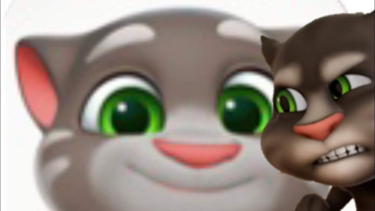GETTING OLD  TOM MODEL IN TALKING TOM  2025 RELAUNCH?