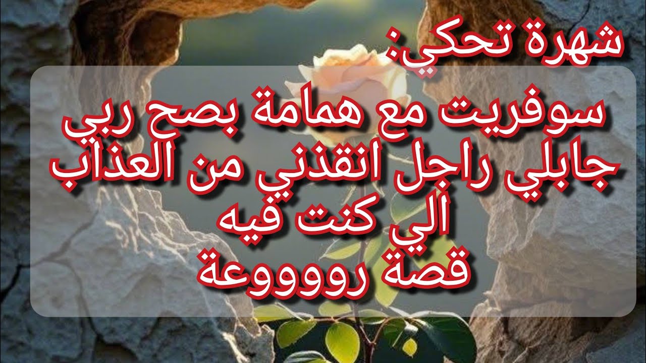 شهرة وقصتها مع همامة وسعيدة بكاتني من قلبي😭همامة حقرتها والصادق جاها عوض الله فيه وتبدلت حياتها😍روعة