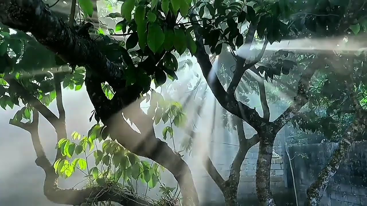 TANPA IKLAN | Lagu Pop Lawas Indonesia Nostalgia 80-90an |Lagu Tembang Kenangan 