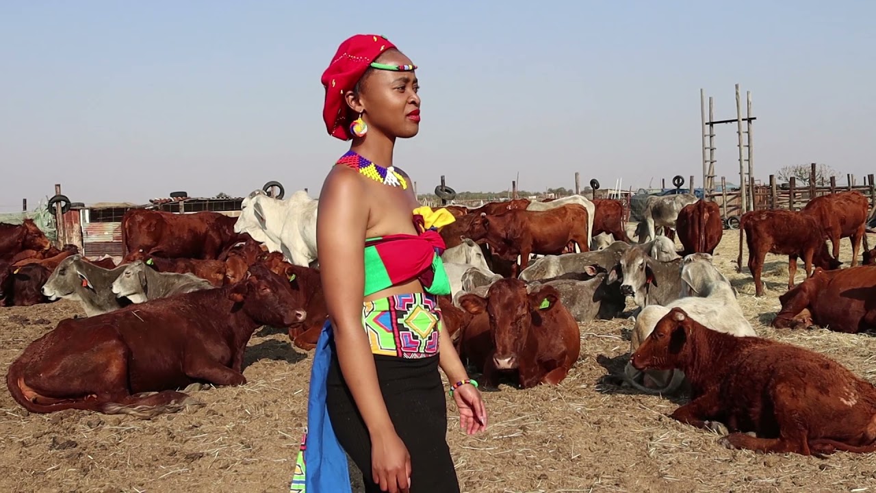 Tshikinya S3 Bagaetsho! Buya Ndebele! By Hlobisile