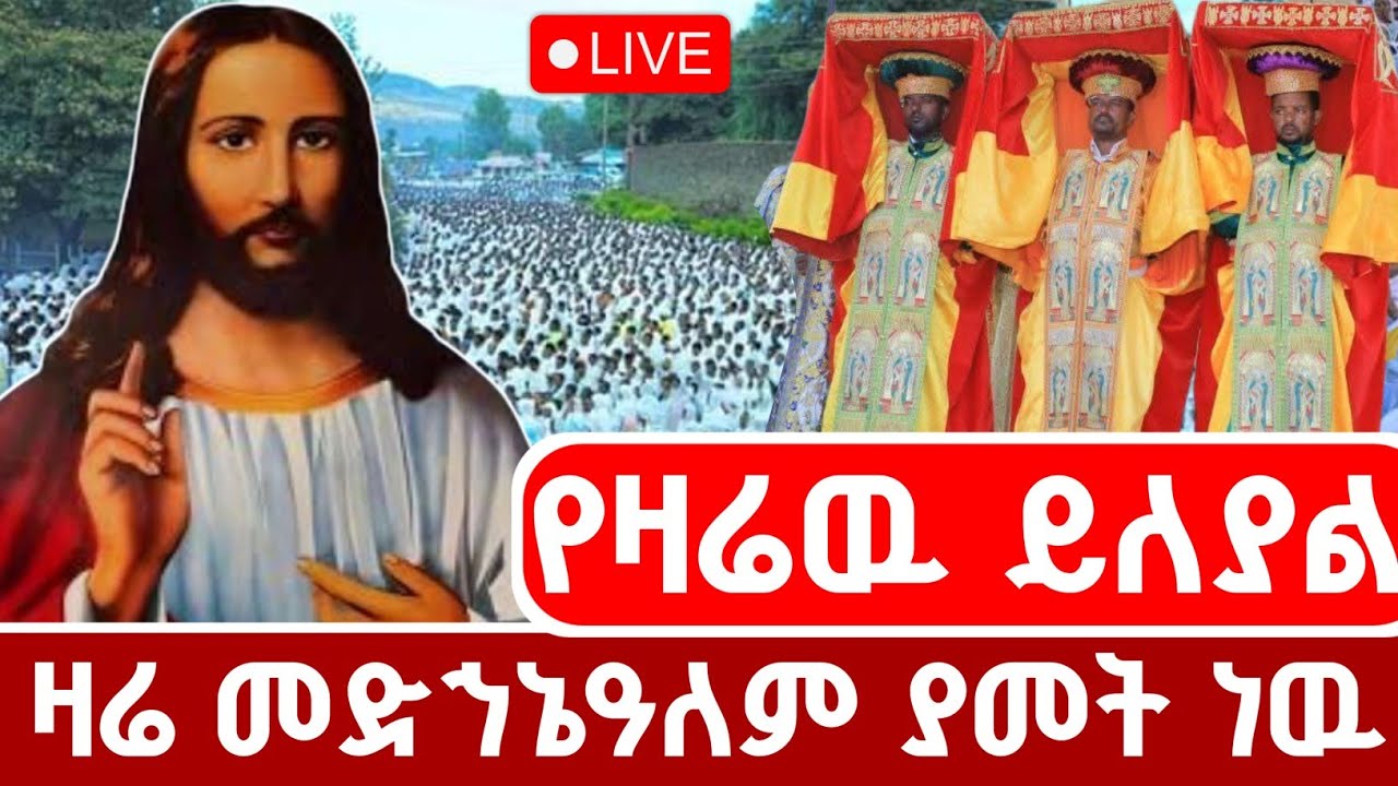 🔴 LIVE #የመድኃኒዓለም_ሥርዓተ_ማኅሌት ተጀመረ