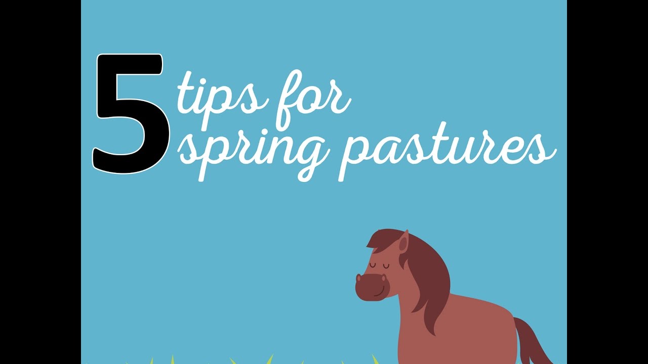5 Tips for Spring Pastures