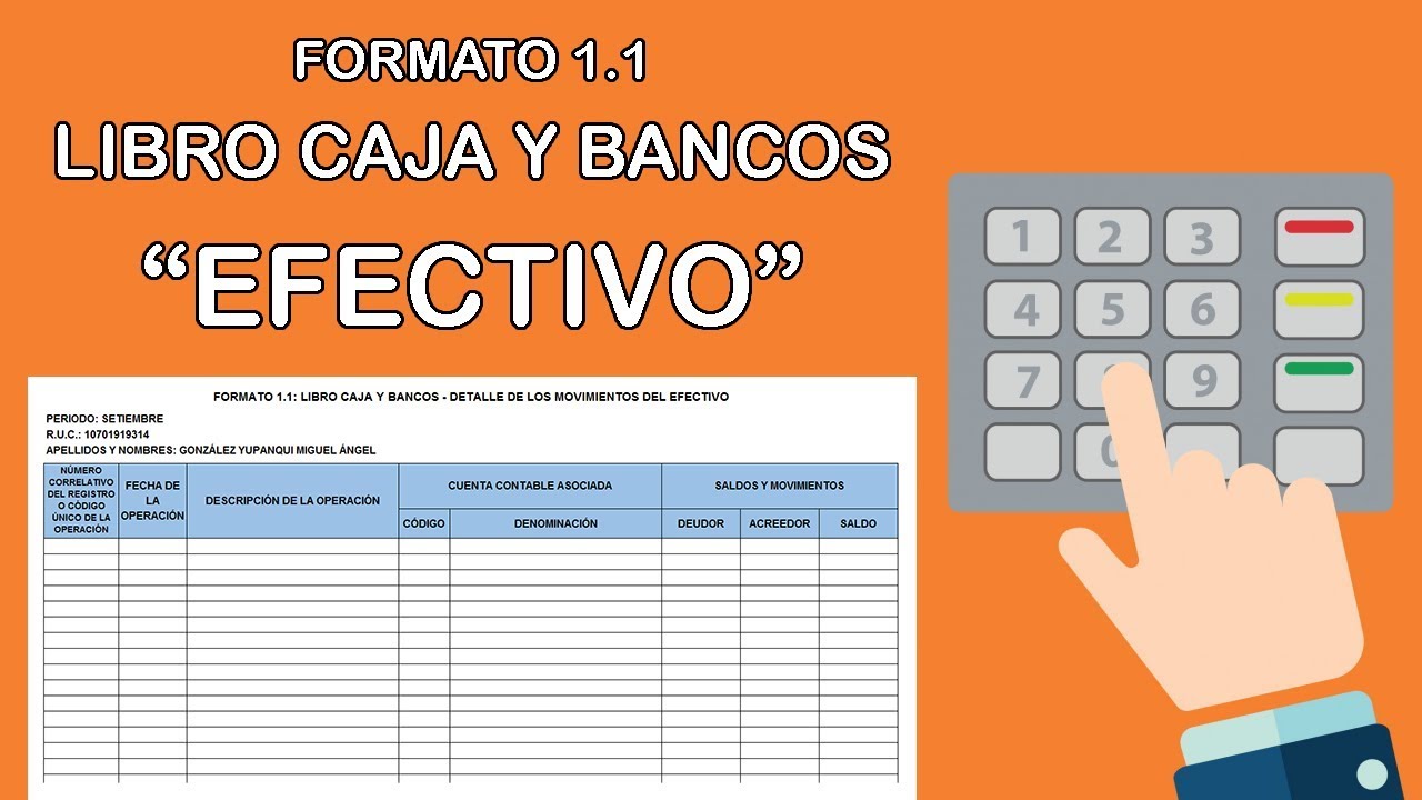 Formato 1.1: Libro Caja y Bancos - Detalle de los Movimientos en Efectivo