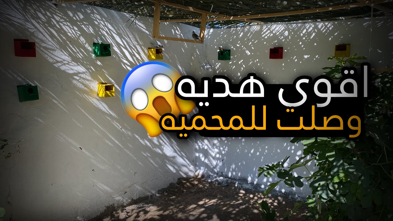 وصلت اقوى هديه للمحميه 😱 دخلنا الطيور للمحميه 🔥