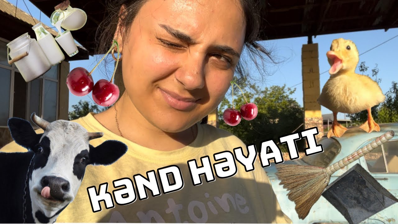 Əsl kənd həyatı bax belə olur/ Salyanda normal bir gün