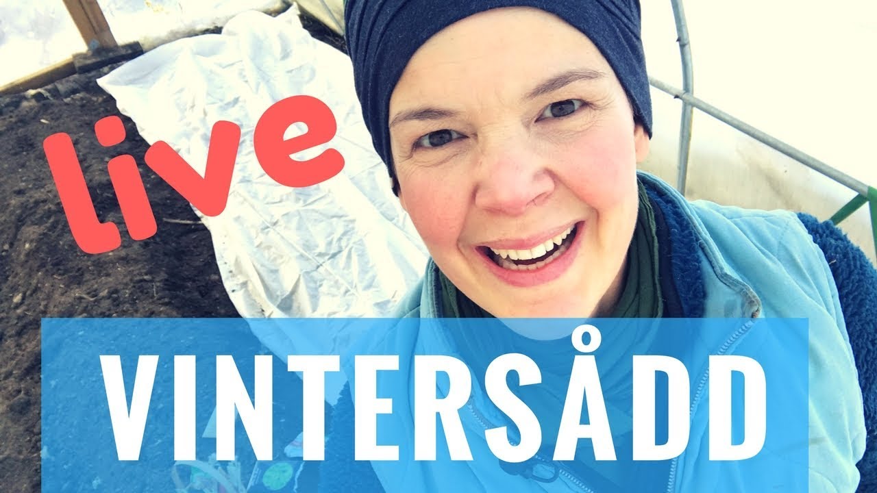 Vintersådd i lilla tunneln
