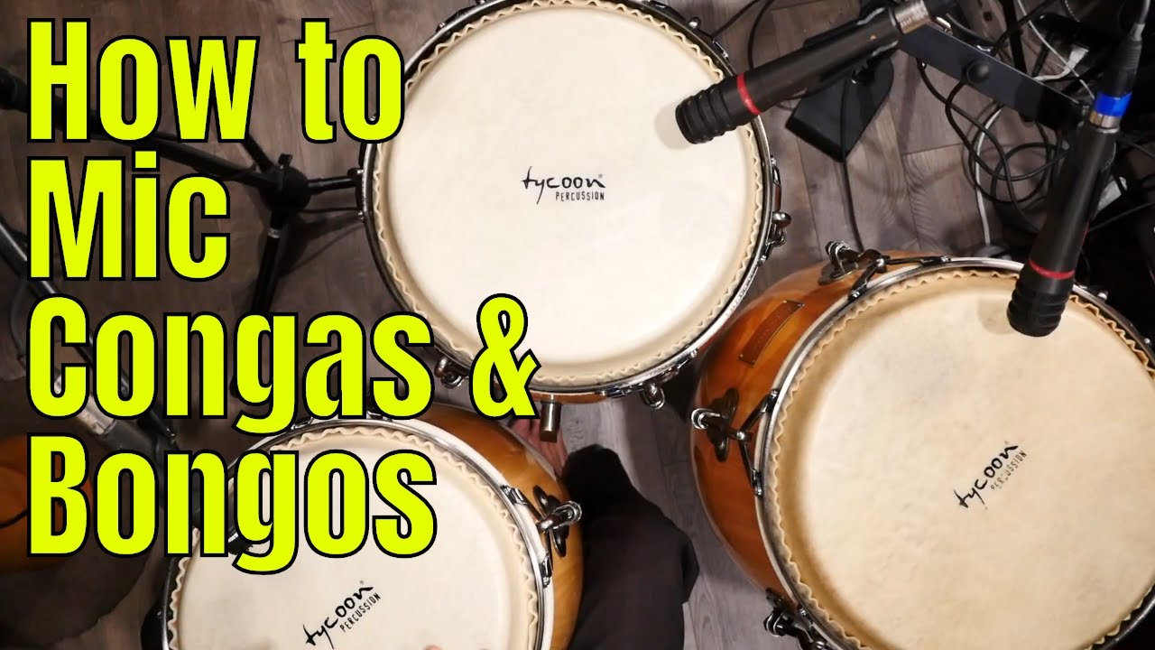 How to Mic Congas for Live and Recording