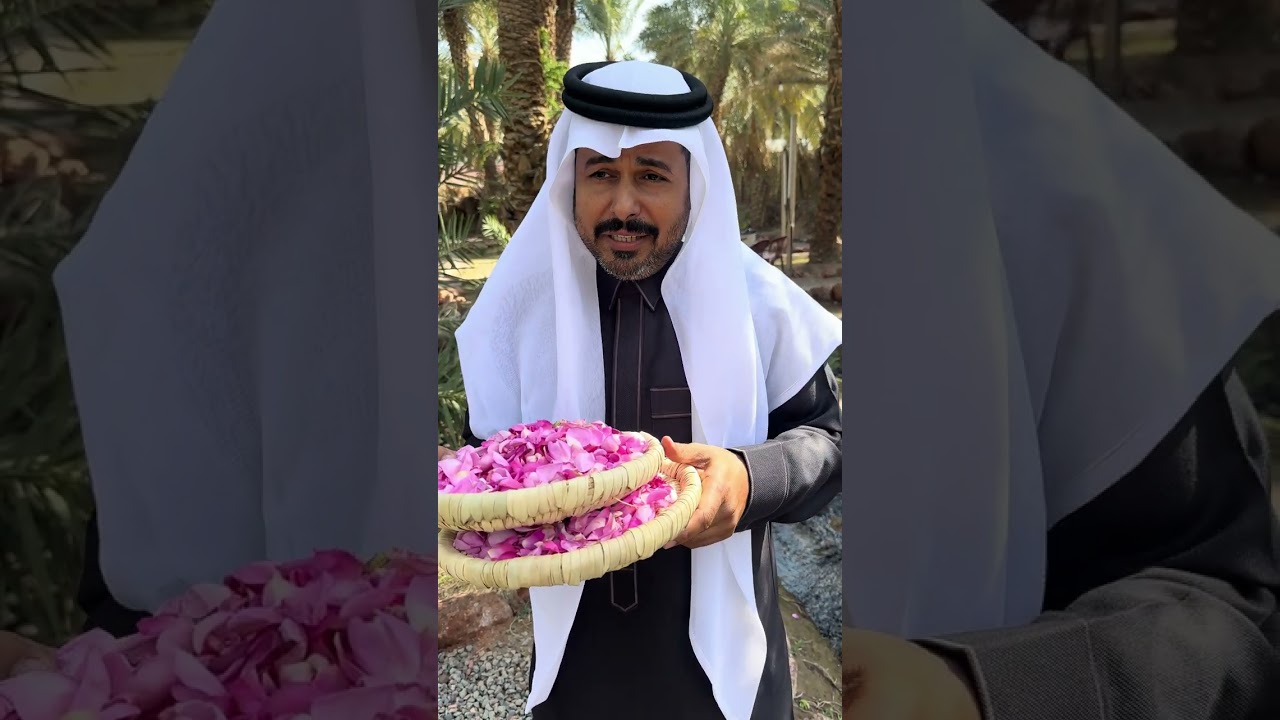 تاريخ ورد المدينة  بين الحاضر والماضي 🌺🌷🌺⁦‪