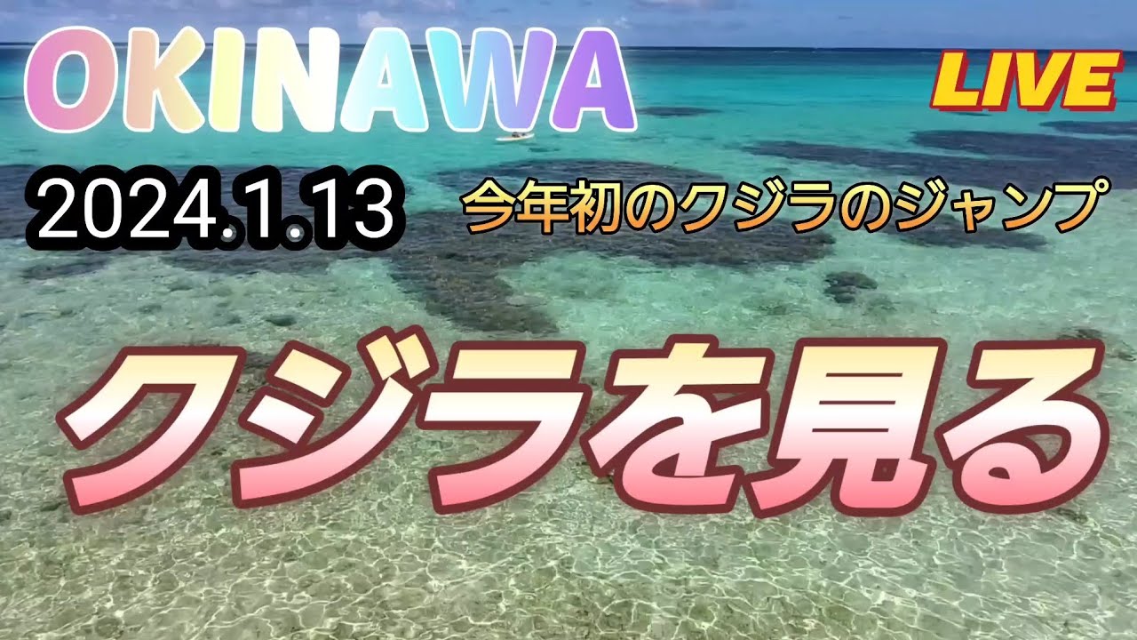 OKINAWA残波岬からクジラ見れたよ、23分からクジラジャンプが見れるよ　2024.1.13　残波岬#南の島#OKINAWA#残波岬クジラ
