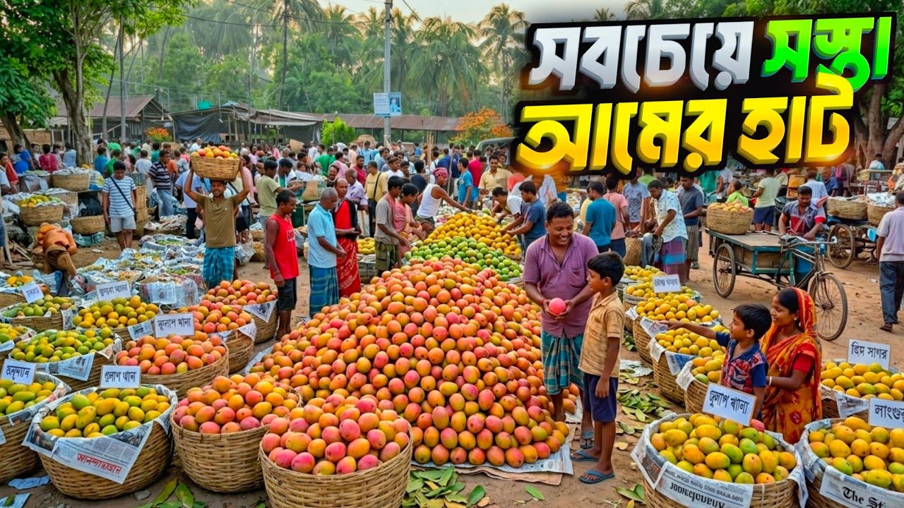 ভারতের ঐতিহ্যবাহী সস্তা আমের হাট 🥭 | India's Cheapest Mango Market 