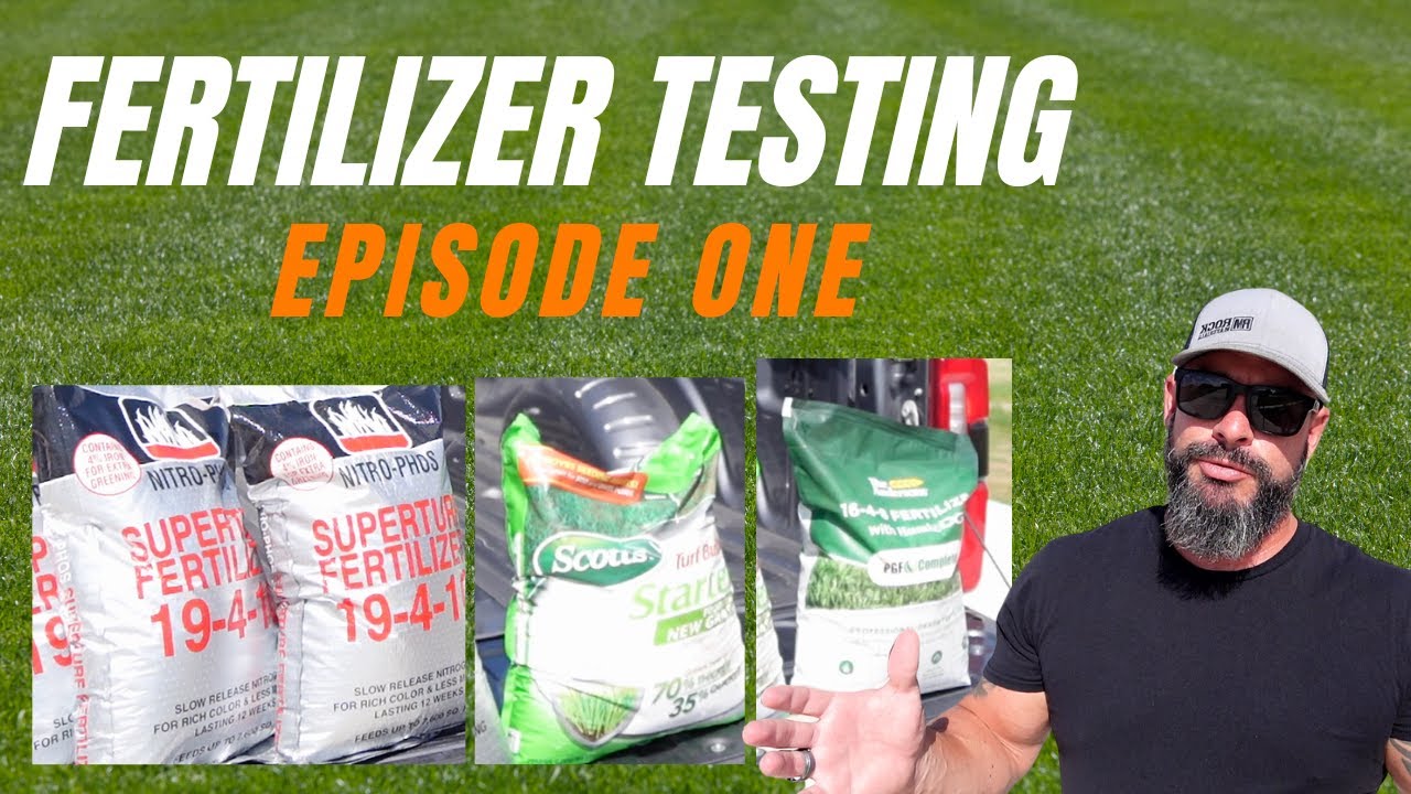 Which Fertilizers Actually Work - Testing 3 Side By Side