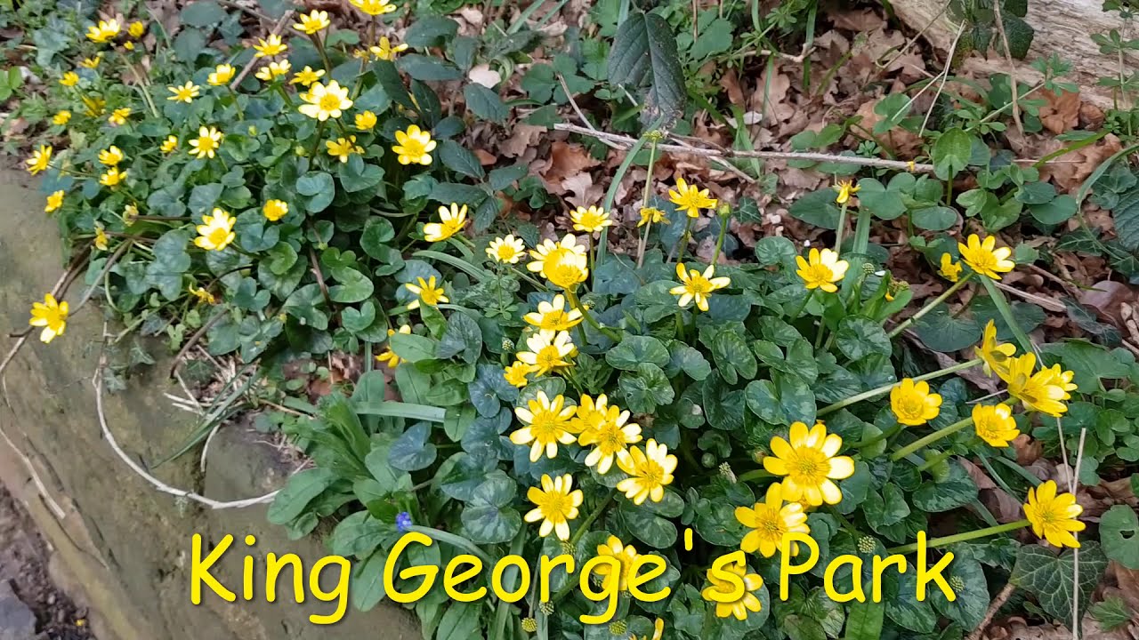 King George’s Park and Bramcote Woods in Bramcote, Nottinghamshire, England, United Kingdom