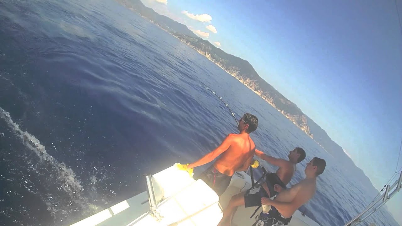 Tonno 70 kg in drifting Mar Ligure HD