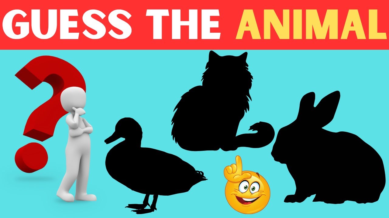 Guess the animals by it's shadow | 3 seconds challenge | fun quiz