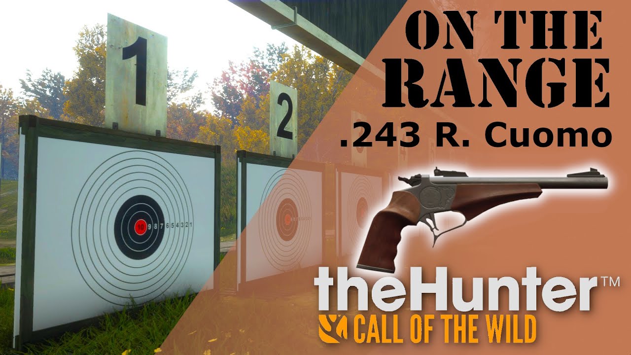 On The Range - .243 R. Cuomo - theHunter: Call of the Wild