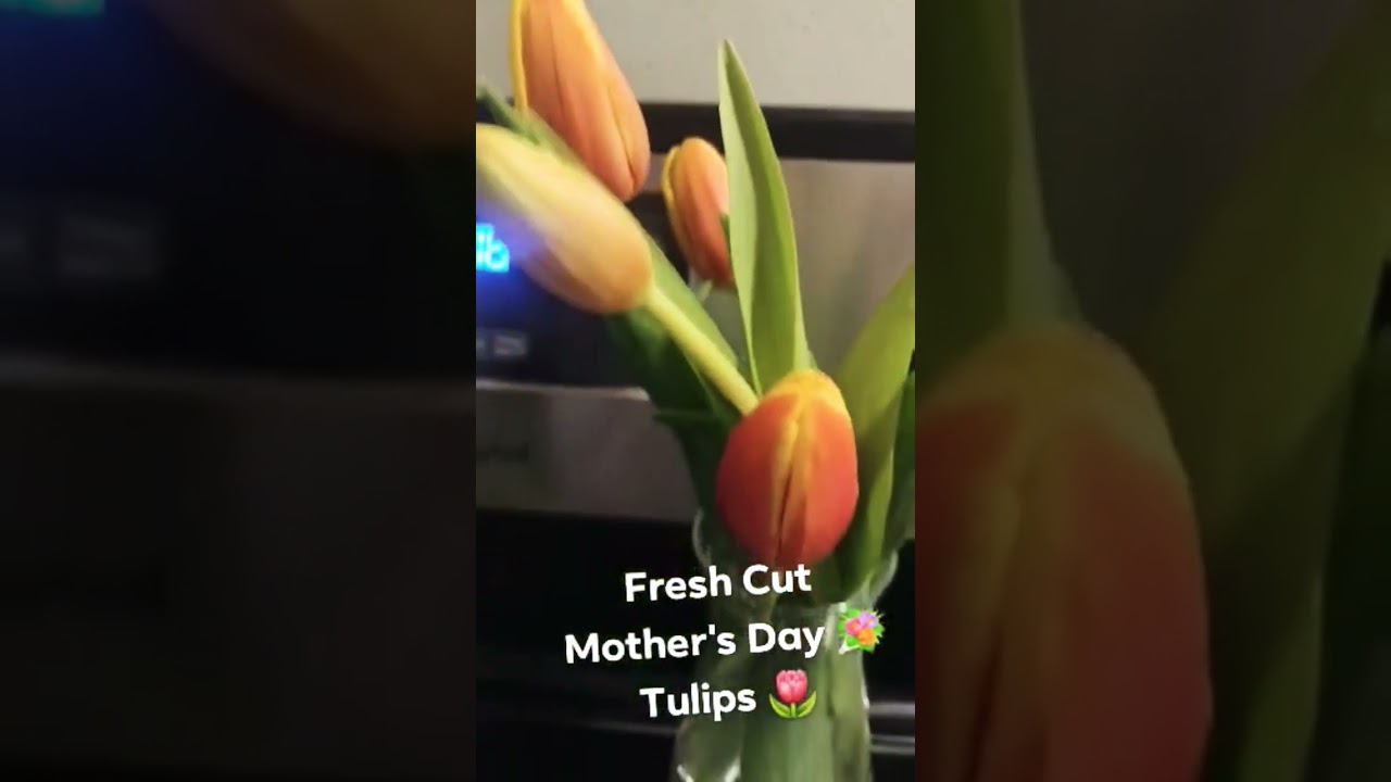 #shortvideo #fbreels #fy #shortsfeed #shorts #flowers #tulips