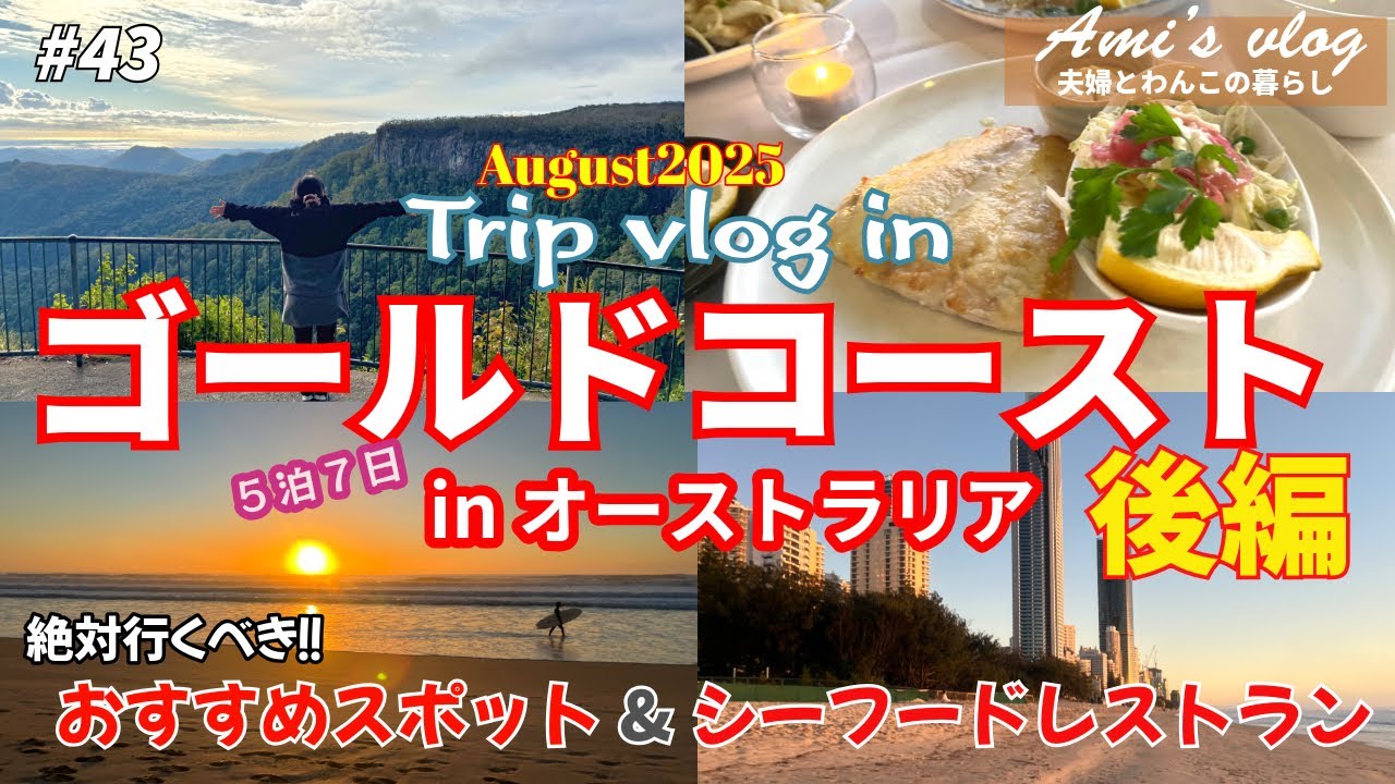 【#43 旅vlog】オーストラリア🐨絶対お勧め観光スポット&レストラン/大自然に癒され心清らかになって帰って来ました/ゴールドコーストの海/Australia/Gold Coast