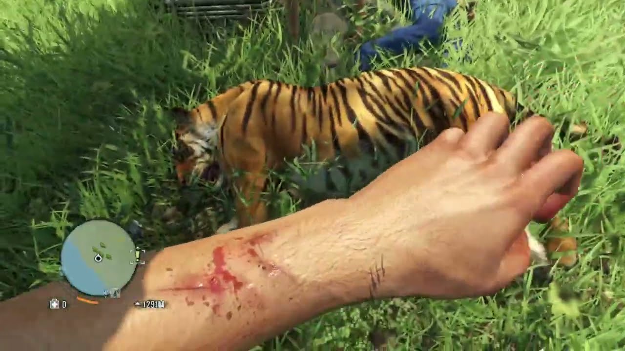 Farcry 3 60 FPSinício de gameplay !
