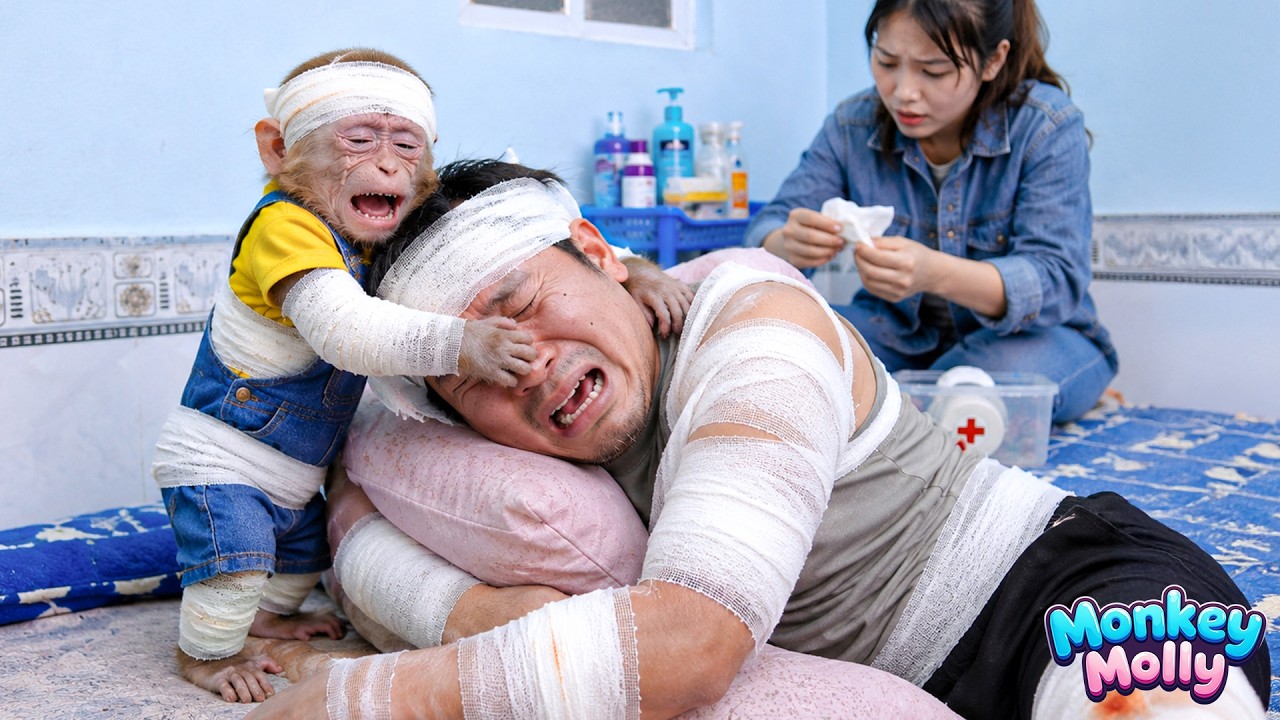 The heartbreaking moment when Monkey Molly has to watch her father battle a serious illness.