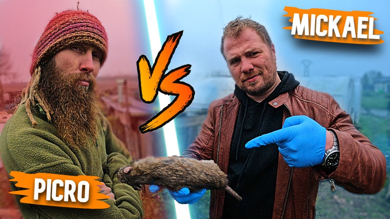 Challenge : qui attrapera le plus de RATS ?
