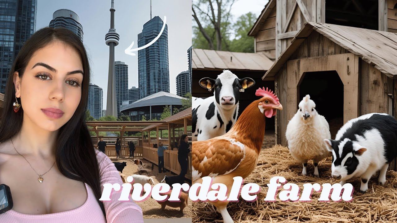 Visiting Toronto's oldest zoo 🐷 riverdale farm