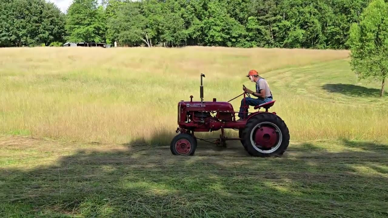 Farmall Cub with Sickle Bar CUTTING HAY