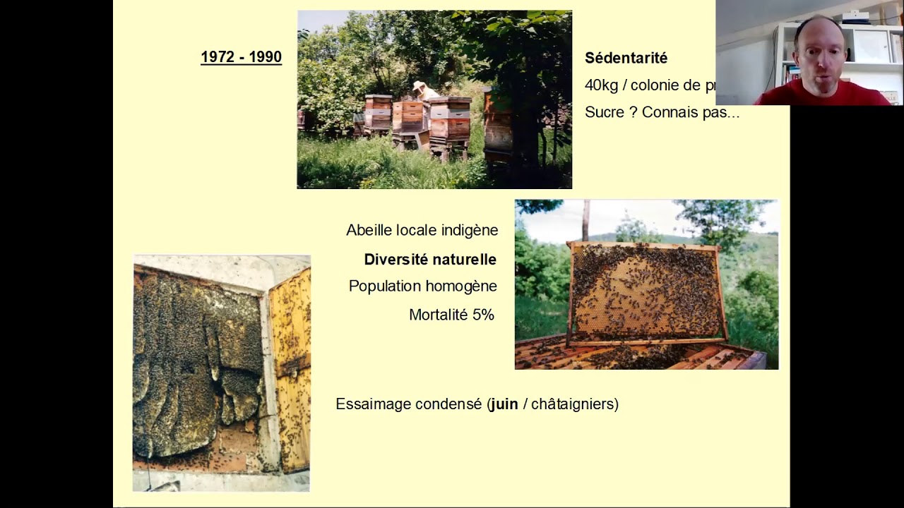 Vincent Canova: Un demi siècle d’observation de l’abeille mellifère indigène en apiculture extensive