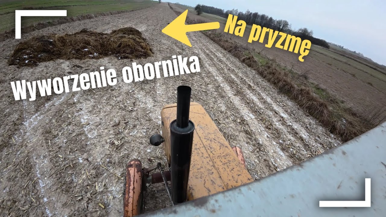 Wywożenie obornika z obory🐮🐄na pryzmę🚜Ursus c-360🚨oporowo🚜Vlog #1