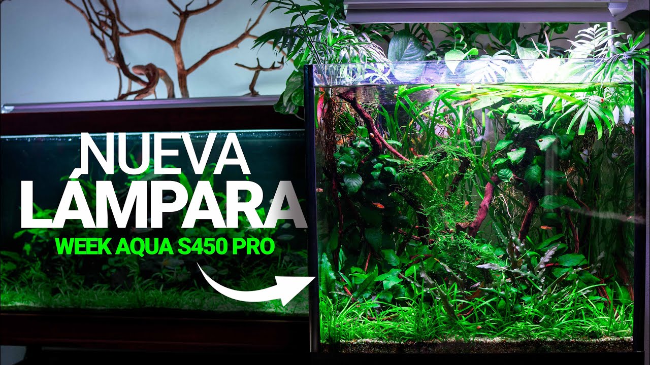 La NUEVA y MEJORADA lámpara del PLANTADO de 80L | Week Aqua S450 PRO