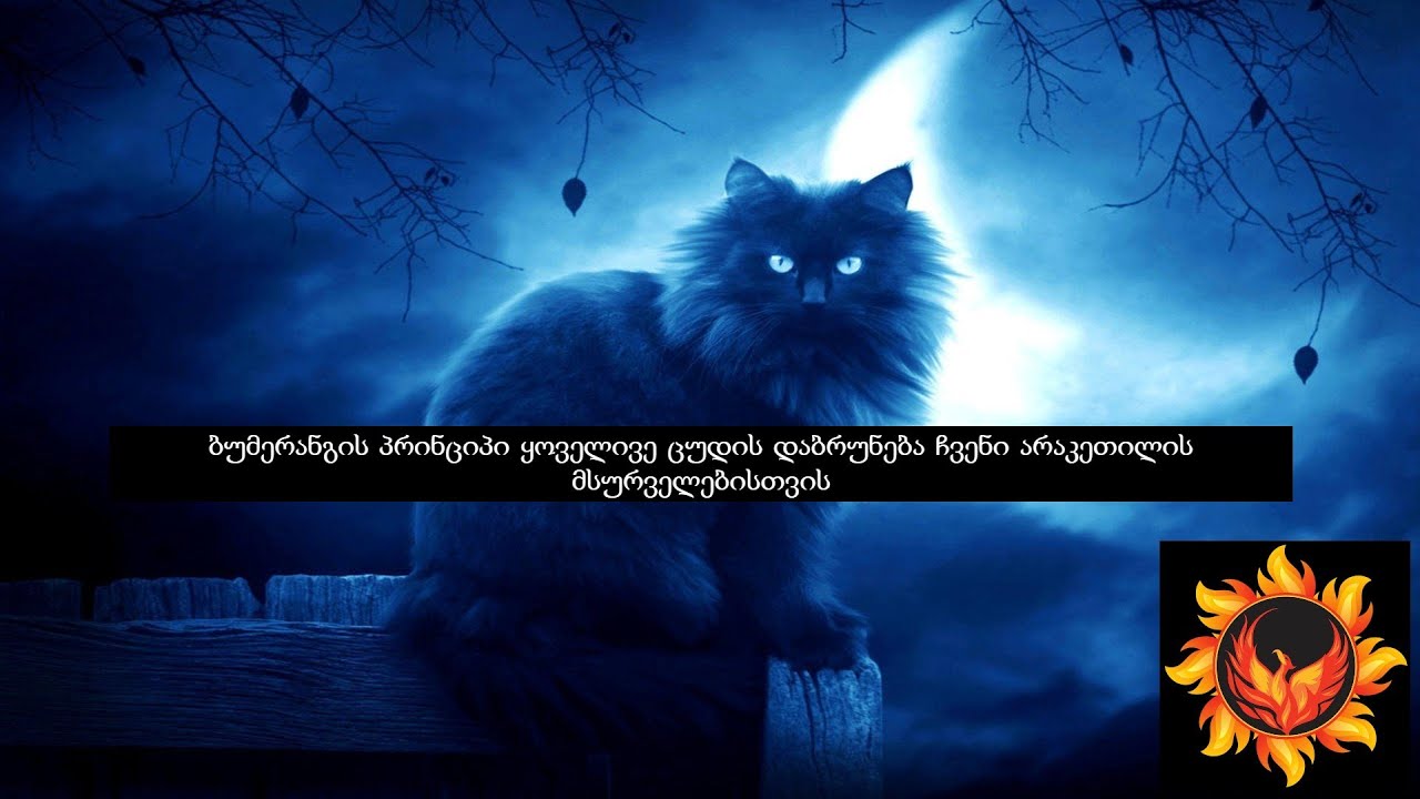 ბუმერანგის პრინციპი ✅ყოველივე ცუდის დაბრუნება ჩვენი არაკეთილის მსურველებისთვის🌞🌙⚖️⚖️⚖
