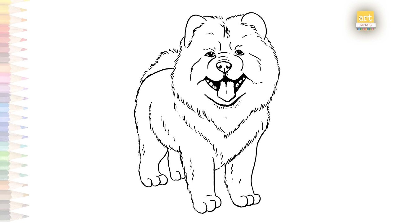 Chow Chow dog drawings | Animal outline sketches | How to draw A Chow Chow dog step by step